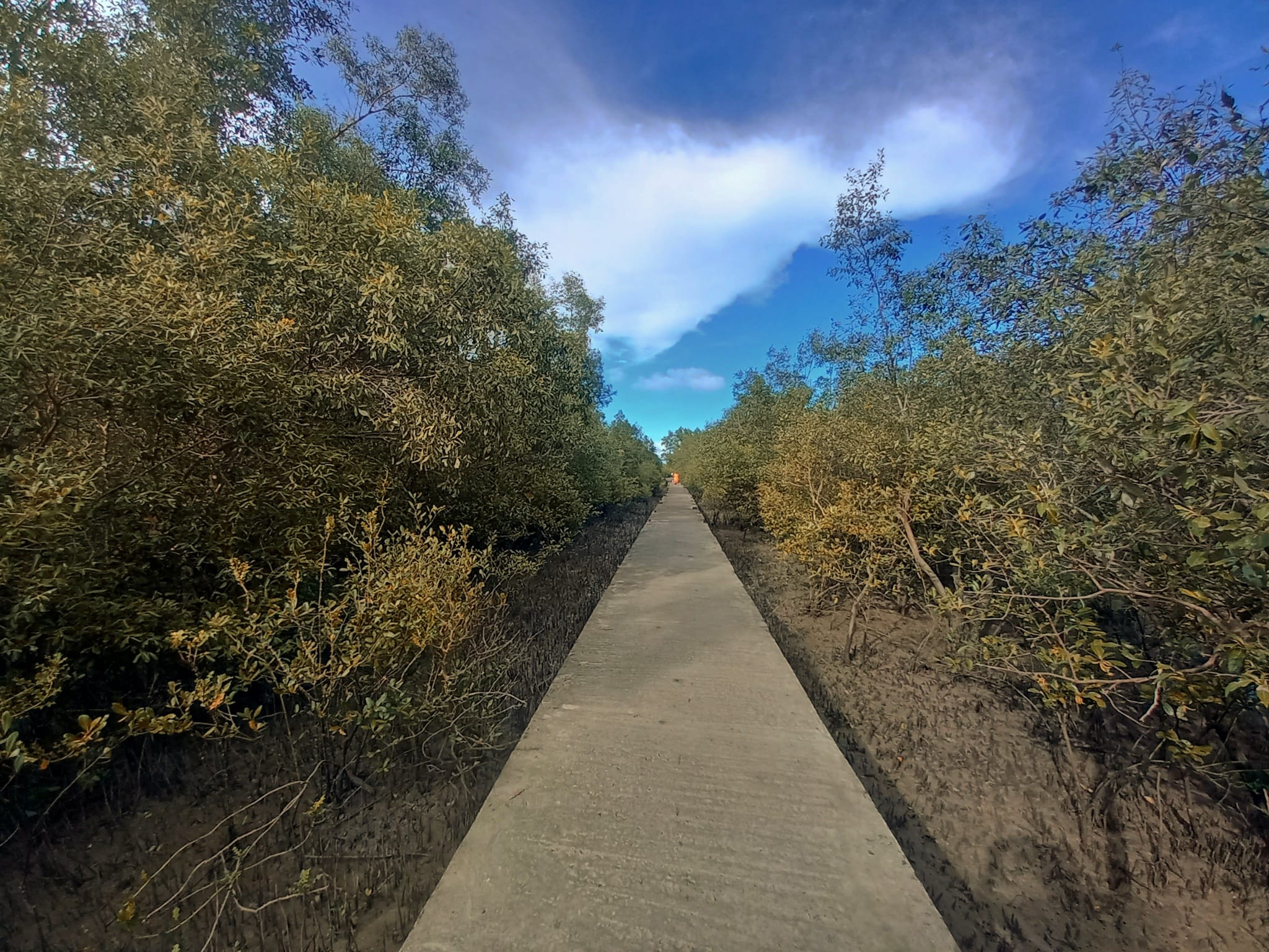 Eco-Tourism in Sundarban: How Responsible Travel Helps Local Communities